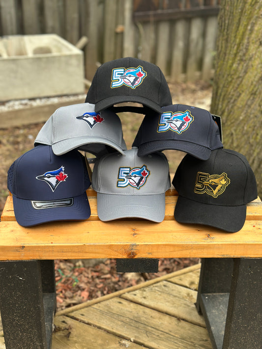 Blue Jays Embroidered Baseball Cap 50 vintage logo regular logo