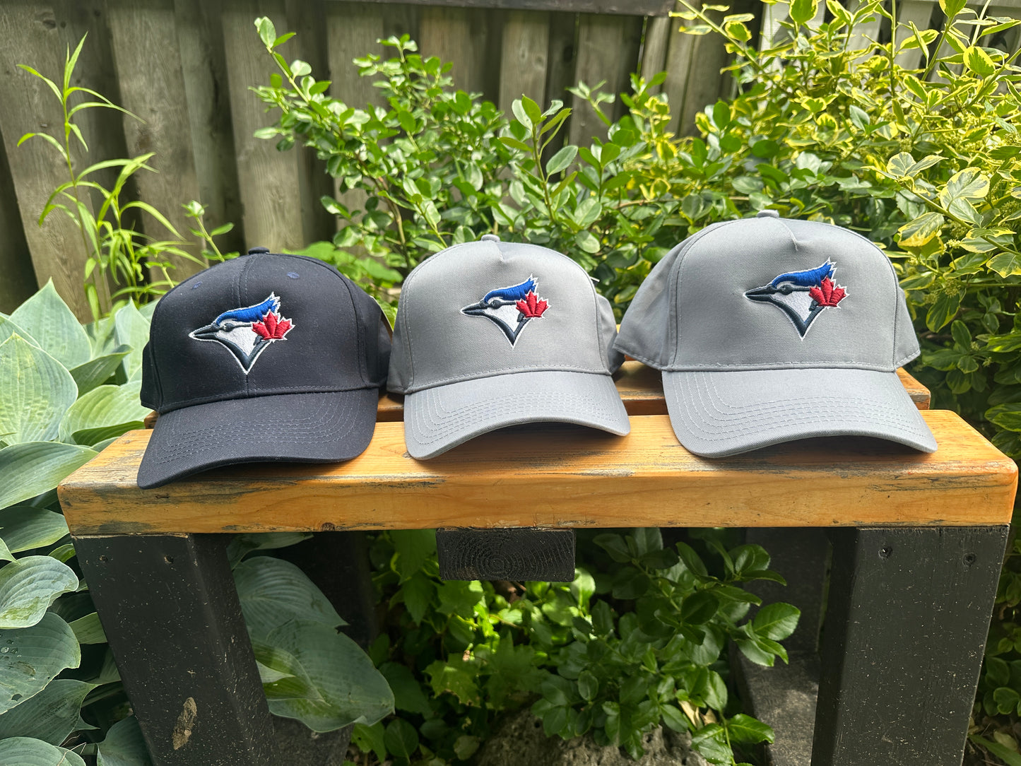 Blue Jays Baseball caps
